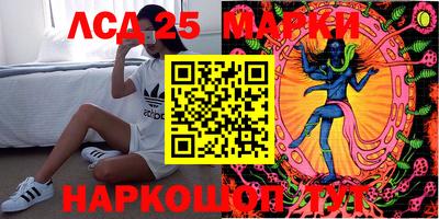 гашик Сланцы
