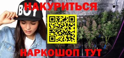 гашик Сланцы