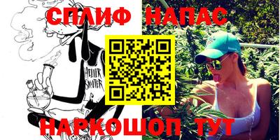 гашик Сланцы