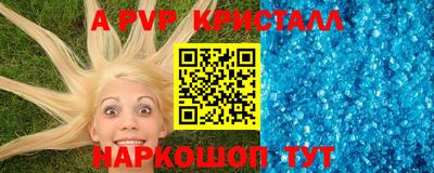 гашик Сланцы